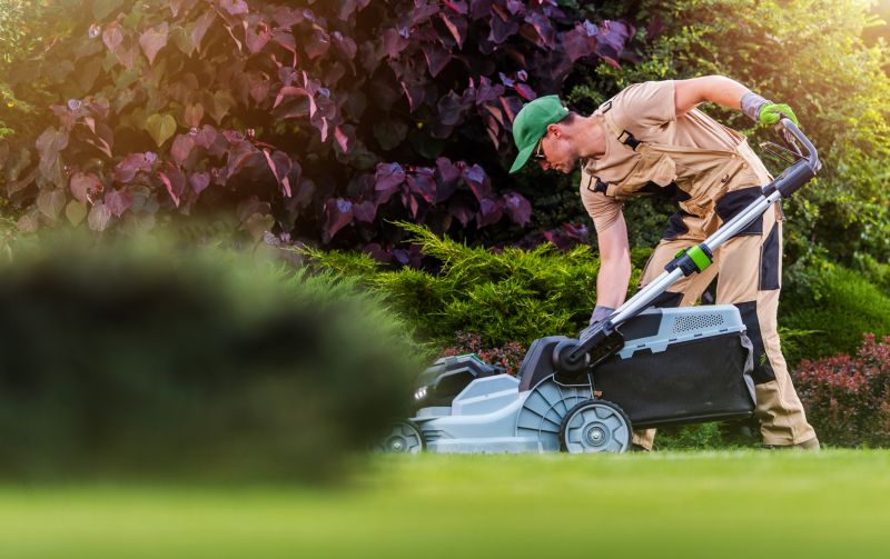 Yard Service