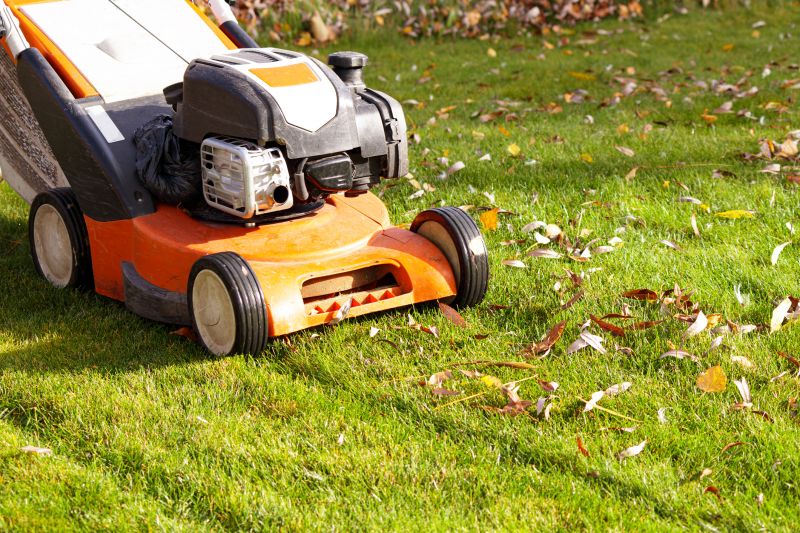 Fall Lawn Care Tools