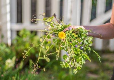Get Weed Control!
