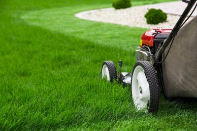 Get Your Lawn Mowed!
